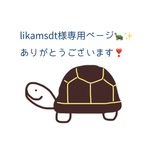 likamsdt様専用ページ♪