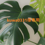 【kuwa0331様専用ページ】