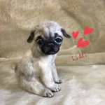 パグ♡
