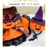 専用 犬服 ハロウィンかぼちゃの帽子セット（変更追加分）