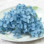 アナベル紫陽花　あじさい　アジサイ　プリザーブド　コバルトブルー