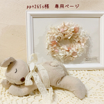 ＊ppt265s様　専用ページ＊