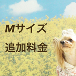 Mサイズ追加料金