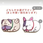 【夏限定】パグセット