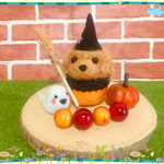 🎃🎃トイプードルちゃんワクワクハロウィン🎃🎃