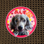 水玉丸ステッカー