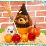 わくわくダックスちゃんのハロウィン🎃🎃