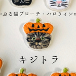 かぶる猫ブローチ[ハロウィン・カボチャver.](キジトラ)
