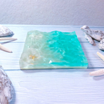 Aqua tray 浅瀬 朝の海
