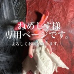 ねめしす様専用ページ