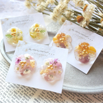 flower garden