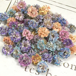 混色入り　かすみ草　ドライフラワー　pastel vol.4