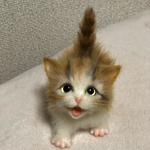 たなHAMU子様専用　ふわふわマンチカン　羊毛フェルト