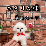 マルチーズのお子ちゃまpart2