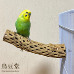 鳥 とまり木 カクタスパーチ（サボテンのとまり木）文鳥・セキセイインコ・アキクサインコ・ボタンインコ・小桜インコ 鳥用品
