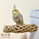 鳥 とまり木 カクタスパーチ（サボテンのとまり木）小型インコ・中型インコ