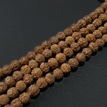 菩提樹の実（ルドラークシャ）8mm 一連約38cm