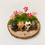 コスモスとねこ