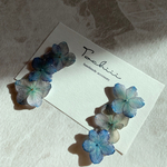 青いアジサイのグラデーションピアス/イヤリング