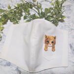 夏用　立体マスク　ポケットから飛び出す猫　茶トラ　大人用　大きめ