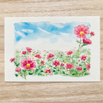 🌸透明水彩画「秋空のコスモス畑」イラストポストカード２枚セット 花　フラワー　秋桜　秋　敬老の日　敬老の日カード　晩夏