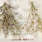 ＊ppt265s様　専用ページ＊