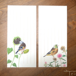 野鳥の歳時記・一筆箋　9月/カワラヒワ