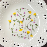 ゴールドダスト&花火草(押し花)