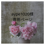 専用出品