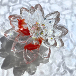 夏の花睡蓮～クリアピンク