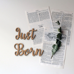 ◉送料込◉木製 Just Born ウッドレター⑴ 大文字ver ニューボーンフォト　新生児