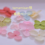 tamamisan様　専用ページ