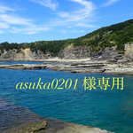 <専用>〜アオウミウシのブレスレット〜