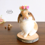 ホーランドロップ　うさぎ　羊毛フェルト　人形
