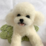 羊毛フェルト　犬　トイプードル【ホワイト】