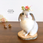 ホーランドロップ　うさぎ　羊毛フェルト　人形
