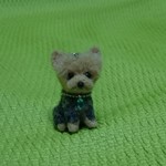 ヨークシャーテリア ストラップ 羊毛フェルト