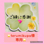 ⭐️terumikupa様専用ページ⭐️猛暑割引🌞女性用夏マスク2枚