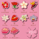 【ピアス】２つ選べる！ハワイアンフラワーのピアス