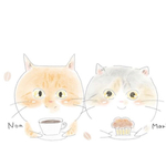 専用ページ