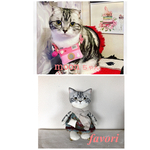 【オーダー様専用】うちの子♥猫人形  ぬいぐるみ