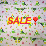 【sale❣】てくてくアヒルちゃん　ファスナー付きランチバッグ
