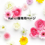 Kei 527様専用ページ