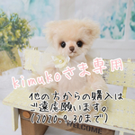 テディベアベア（20-1587）