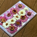 200円のお値引き‼️お花屋さんが贈る夏の終わりの感謝セール❣️ 79