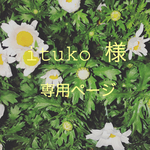 ituko 様 専用 押し花ピアス𓂃𓈒𓏸