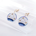 夏の星座　きらめく刺繍イヤリング/ピアス