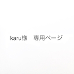 karu様専用ページ
