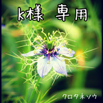 サコッシュ他