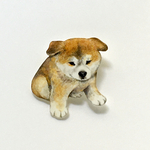 動物図鑑みたいな小さなブローチ／秋田犬の仔犬